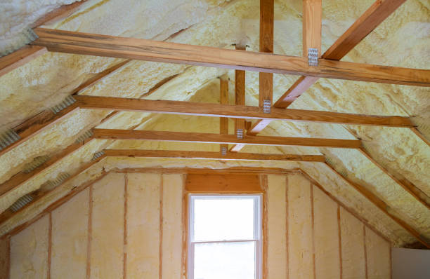 Best Cellulose Insulation in Viera East, FL