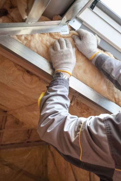 Best Eco-Friendly Insulation in Viera East, FL