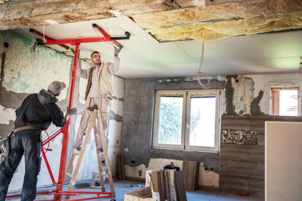 Best Insulation Maintenance and Repair in Viera East, FL