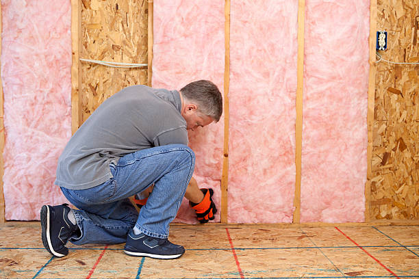 Professional Insulation Contractor in Viera East, FL